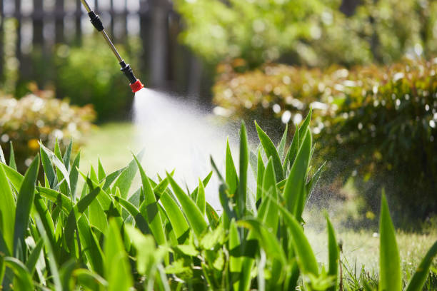 24/7 Emergency Cockroach Control experts in Piketon, OH